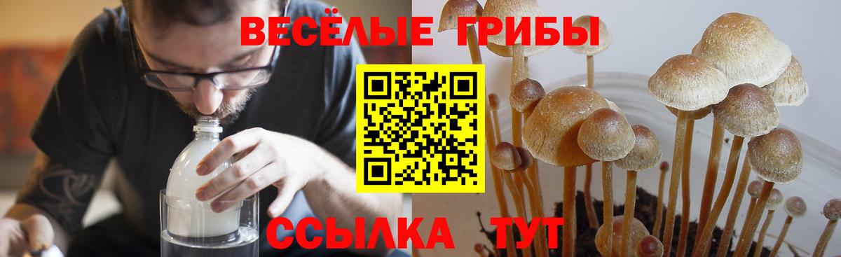 Галлюциногенные грибы Cubensis Ханты-Мансийск