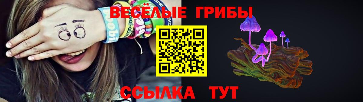 Ханты-Мансийск  купить  сайты  Вход с VPN  Псилоцибиновые грибы Psilocybe 